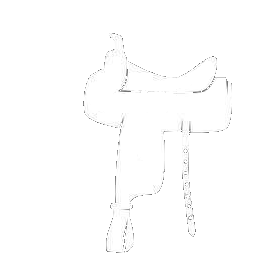 Total Team Roping – America's Team Roping Training and Video Headquarters