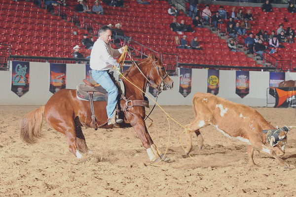 About TTR – Total Team Roping